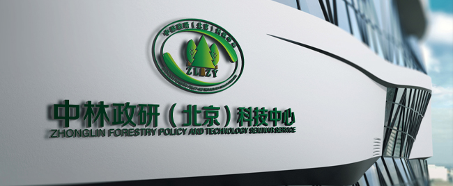 中林政研