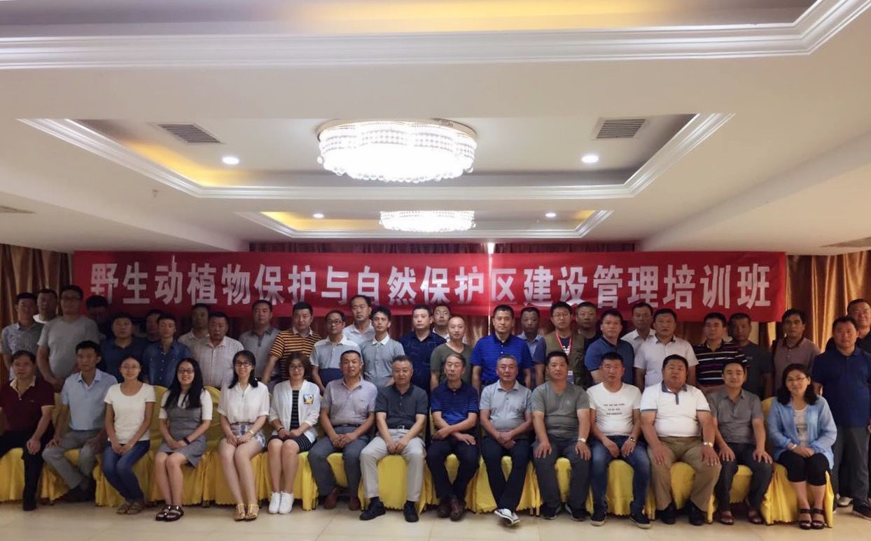 建筑工程领域的外脑 行业持续发展的...